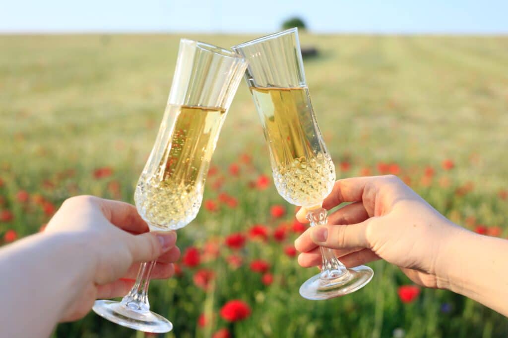 Skillnad Mellan Cava Och Prosecco
